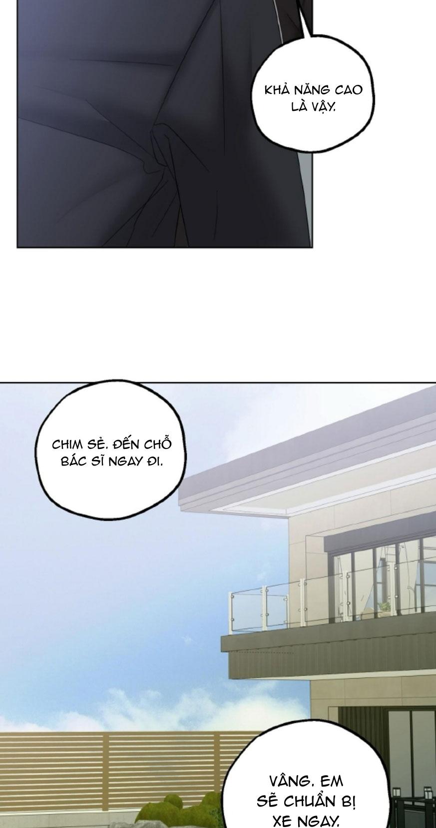 BẮT KỊP Chapter 39 - Next Chapter 40