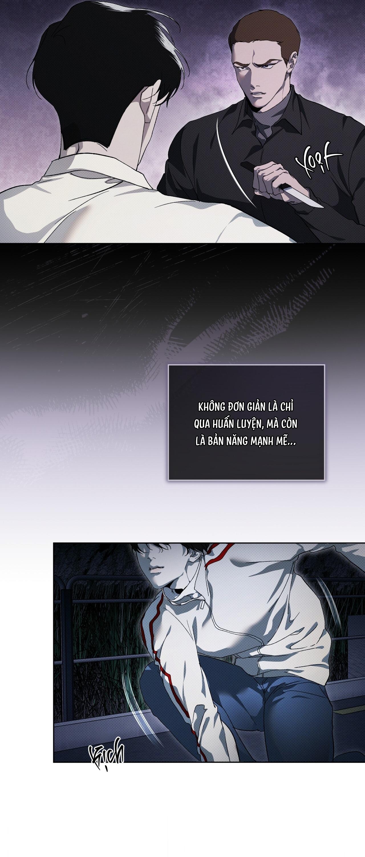 HÌNH THÁI TIẾN HÓA Chapter 13 - Next 