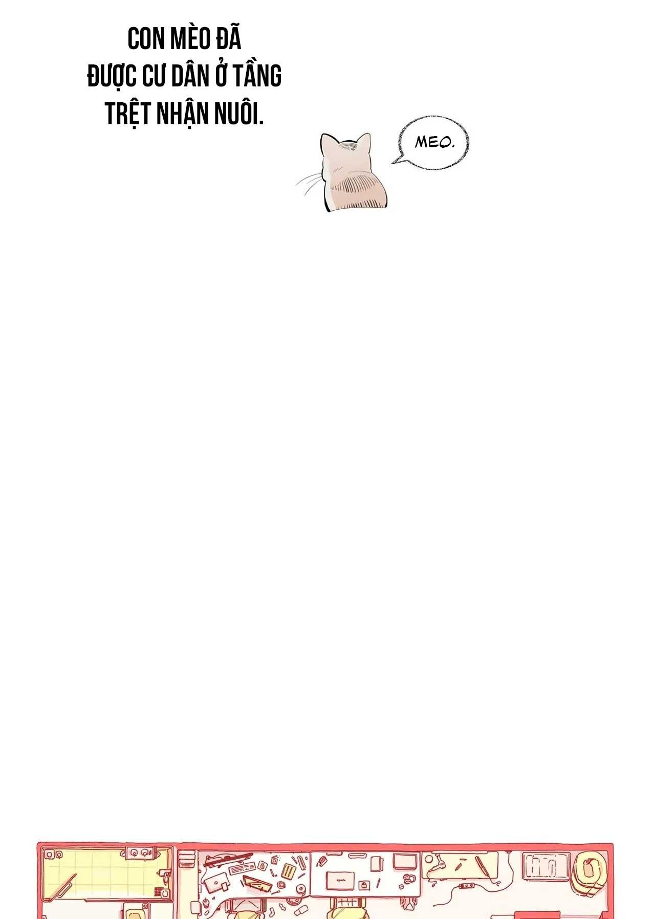 One-Room TA Chapter 7 - Next 