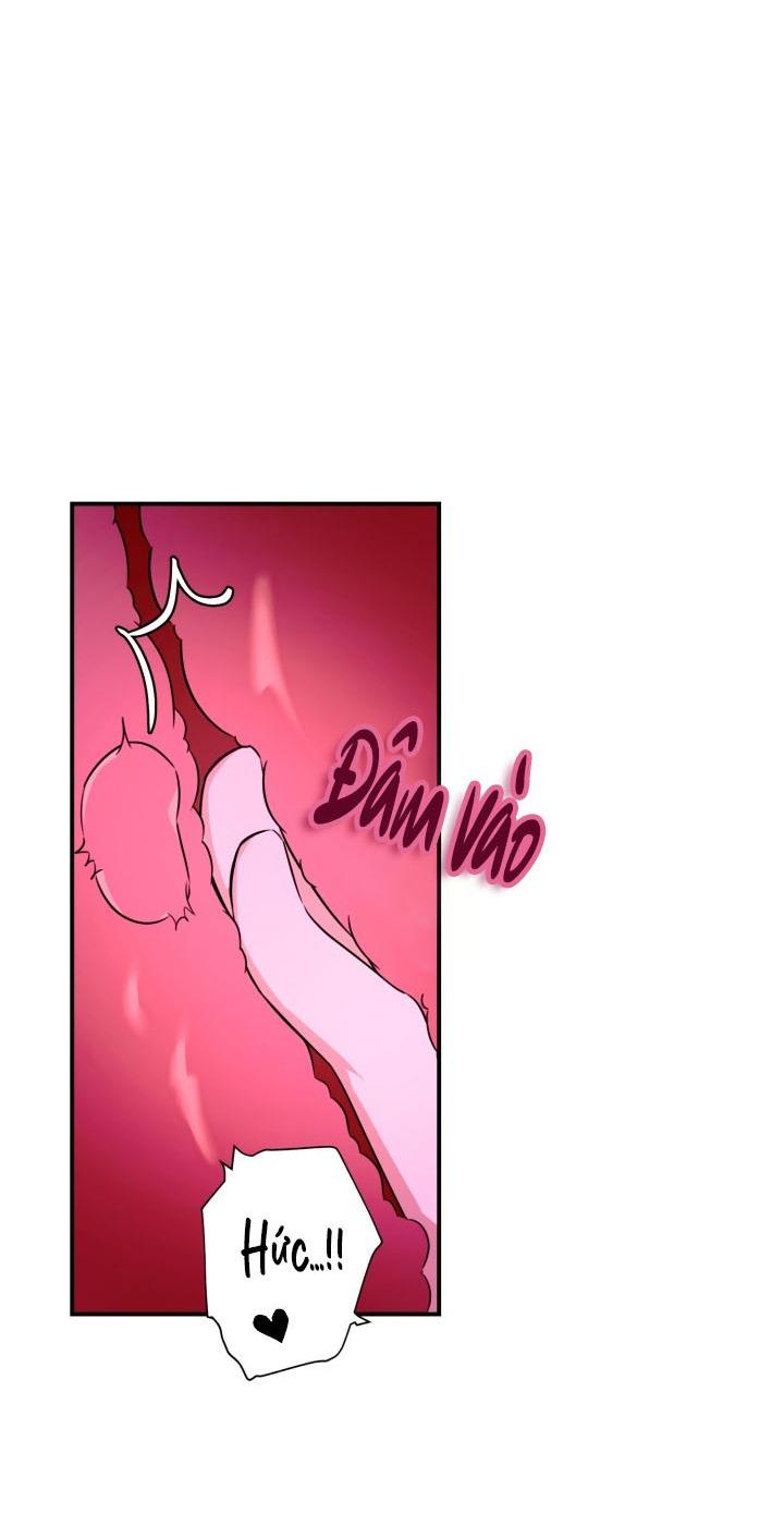 Đến gặp Idol nào! Chapter 12 - Next 