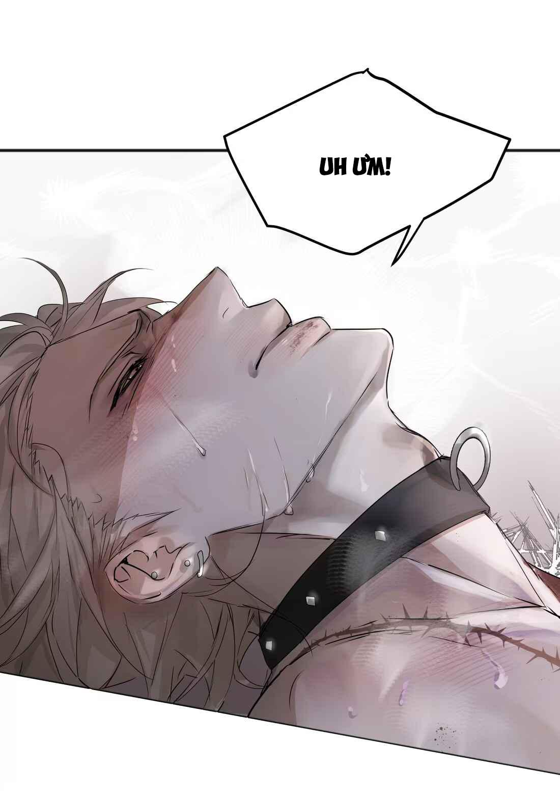 (Daisy) Tôi Bị Chó Điên Phát Hiện Bản Thân Là Đồng Loại Chapter 4 - Trang 2