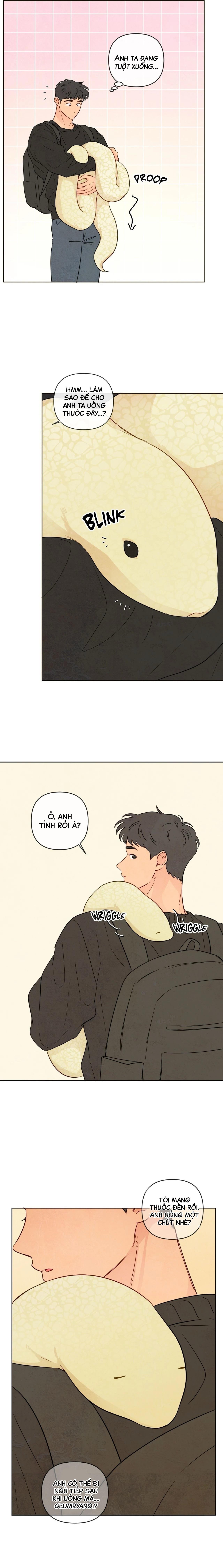 Sự quyến rũ của Thần Rắn Chapter 31 Hachiennhom - Next 