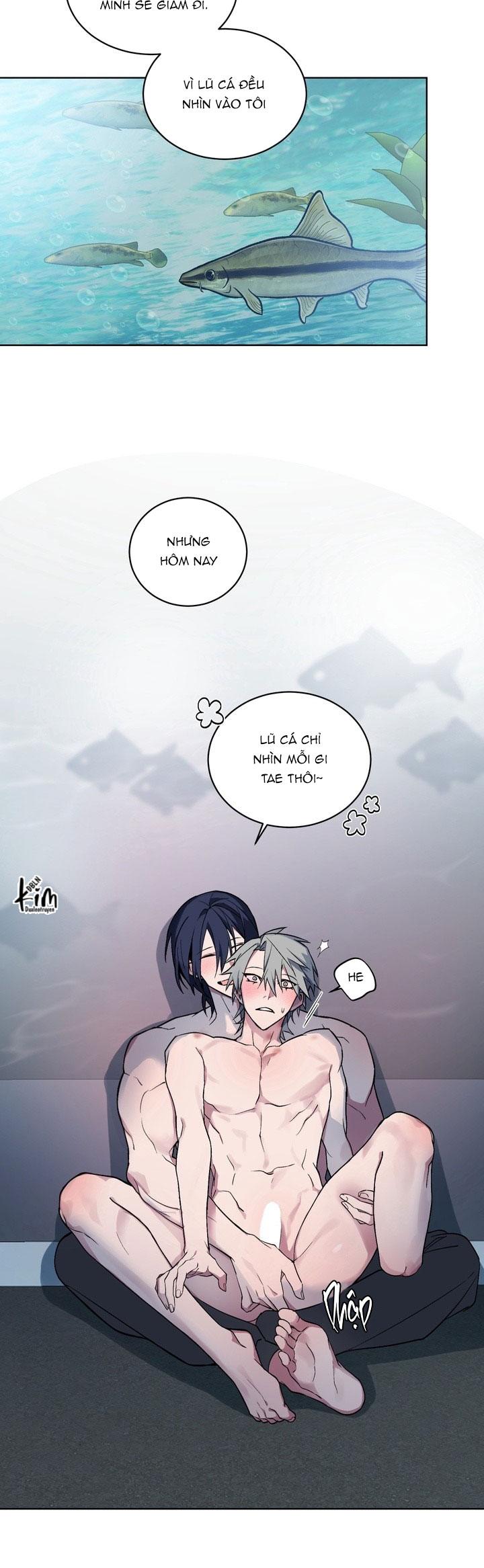 Room Without Windows Chapter 16 - Next 