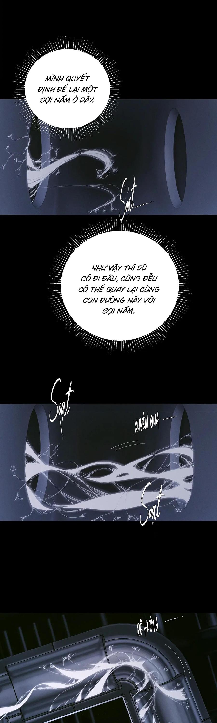 Cây Nấm Nhỏ Chapter 64 - Next Chapter 65