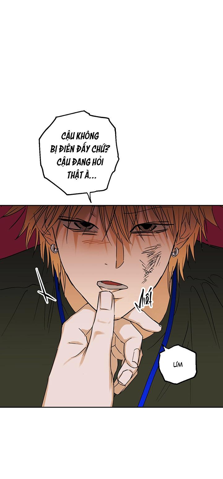 [DDT] Phiên Bản Hoàn Hảo Chapter 1 19+ - Trang 2