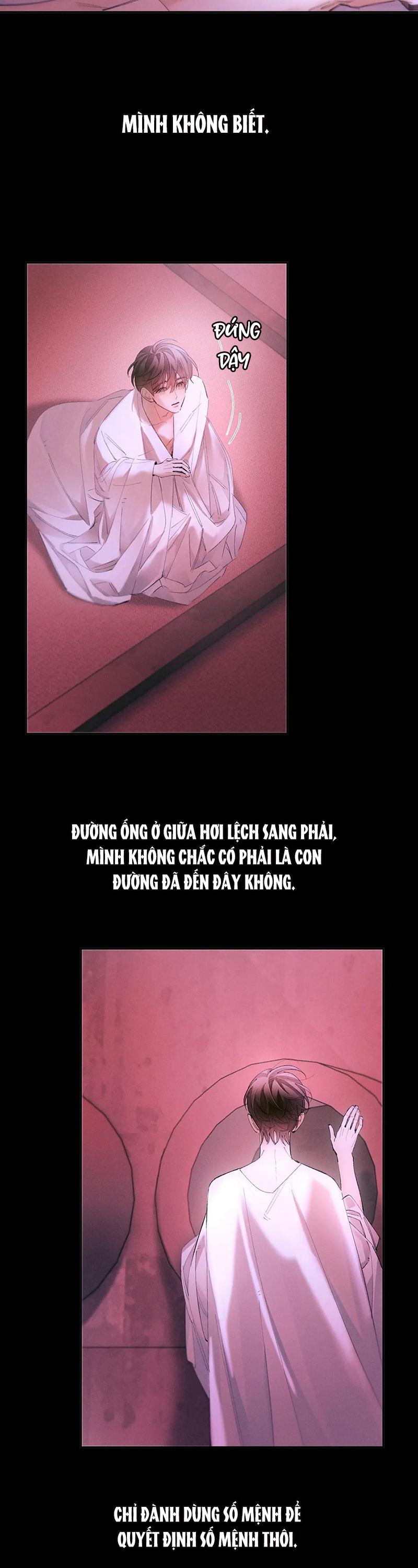 Cây Nấm Nhỏ Chapter 65 - Next 