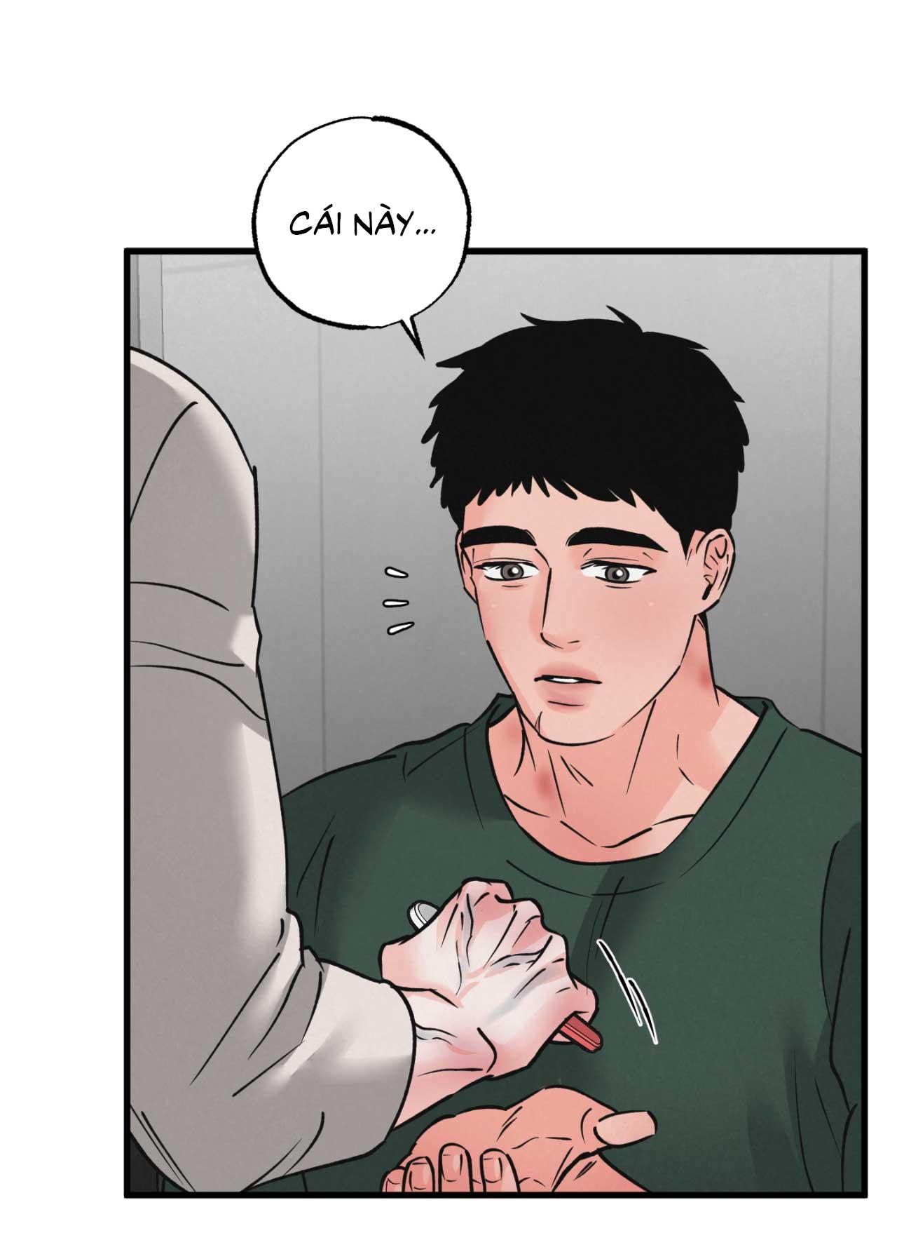 CẶP ĐÔI HOÀN HẢO Chapter 48 - Next Chapter 49