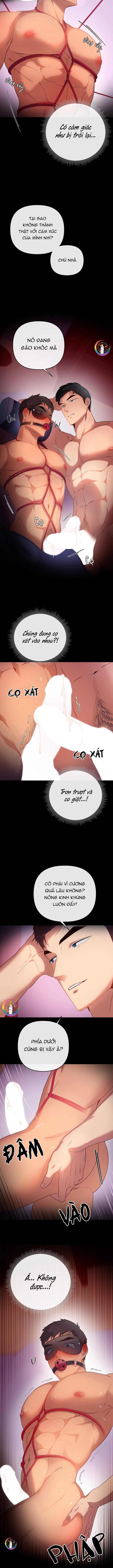 Quay GV thôi! Chapter 2 - Next 