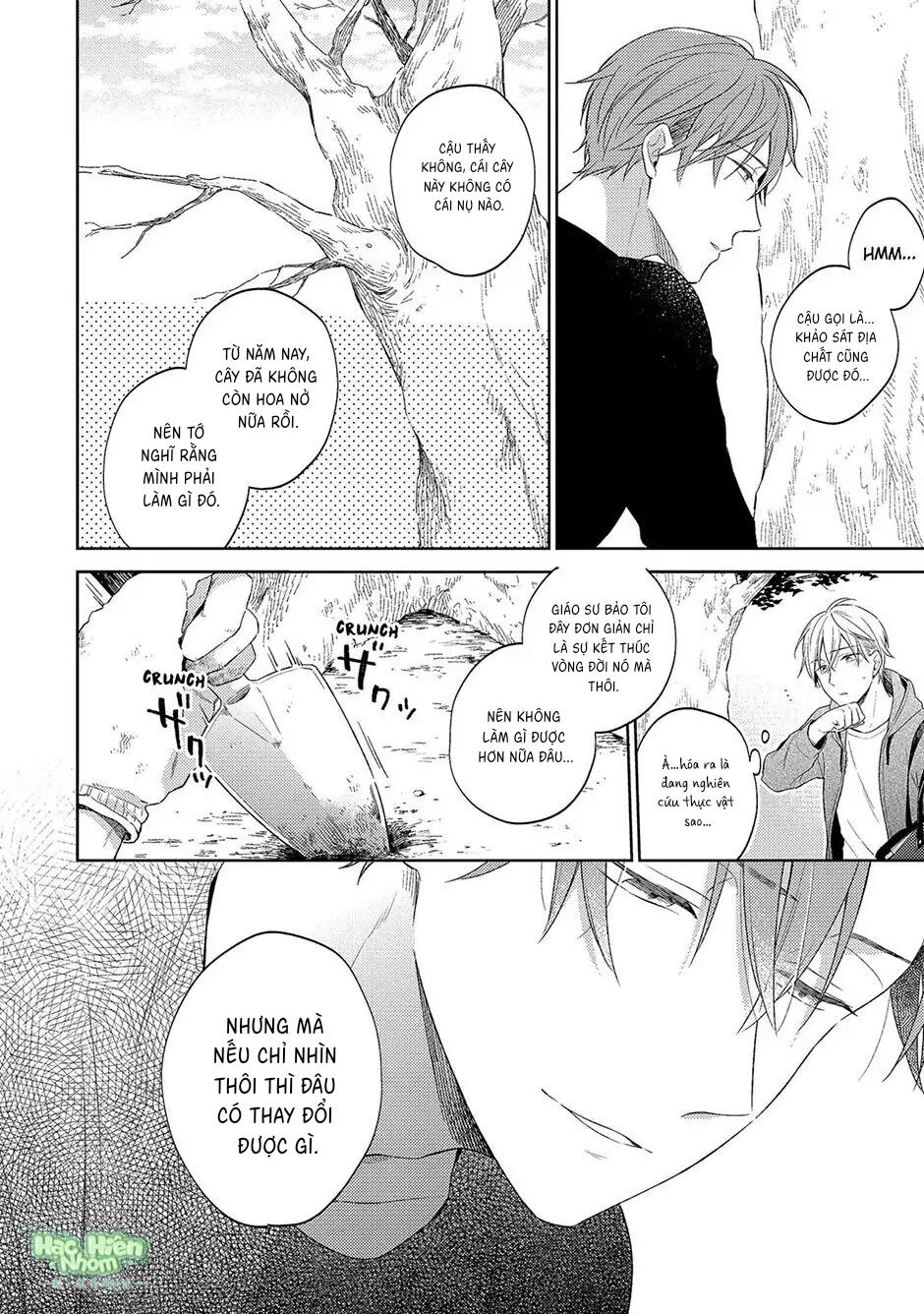 Tình Yêu Nở Trên Cành Đào Ngược Gió Chapter 4 Hachiennhom - Next 