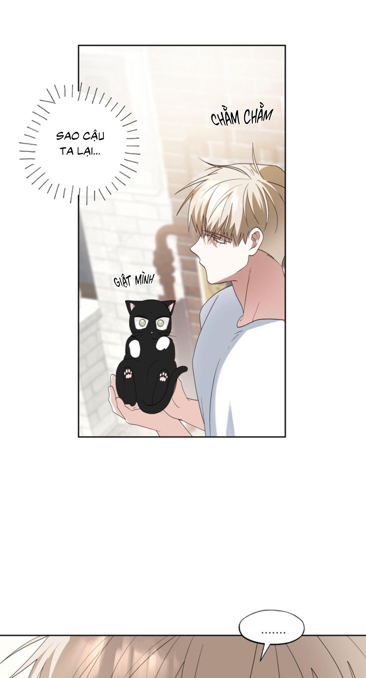 XIN HÃY YÊU THƯƠNG DÙ TÔI LÀ CHUỘT Chapter 6 - Trang 2