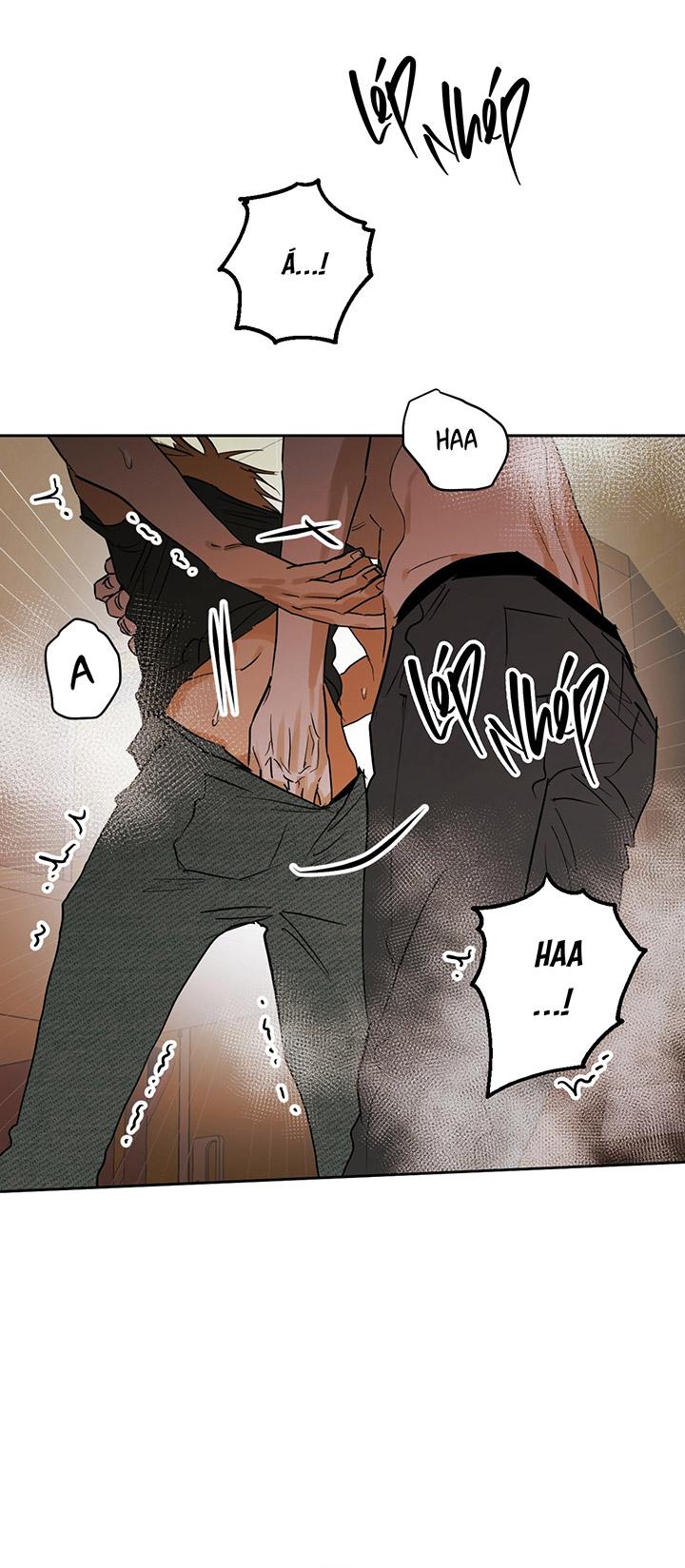 [DDT] Phiên Bản Hoàn Hảo Chapter 1 19+ - Next Chapter 2 19+