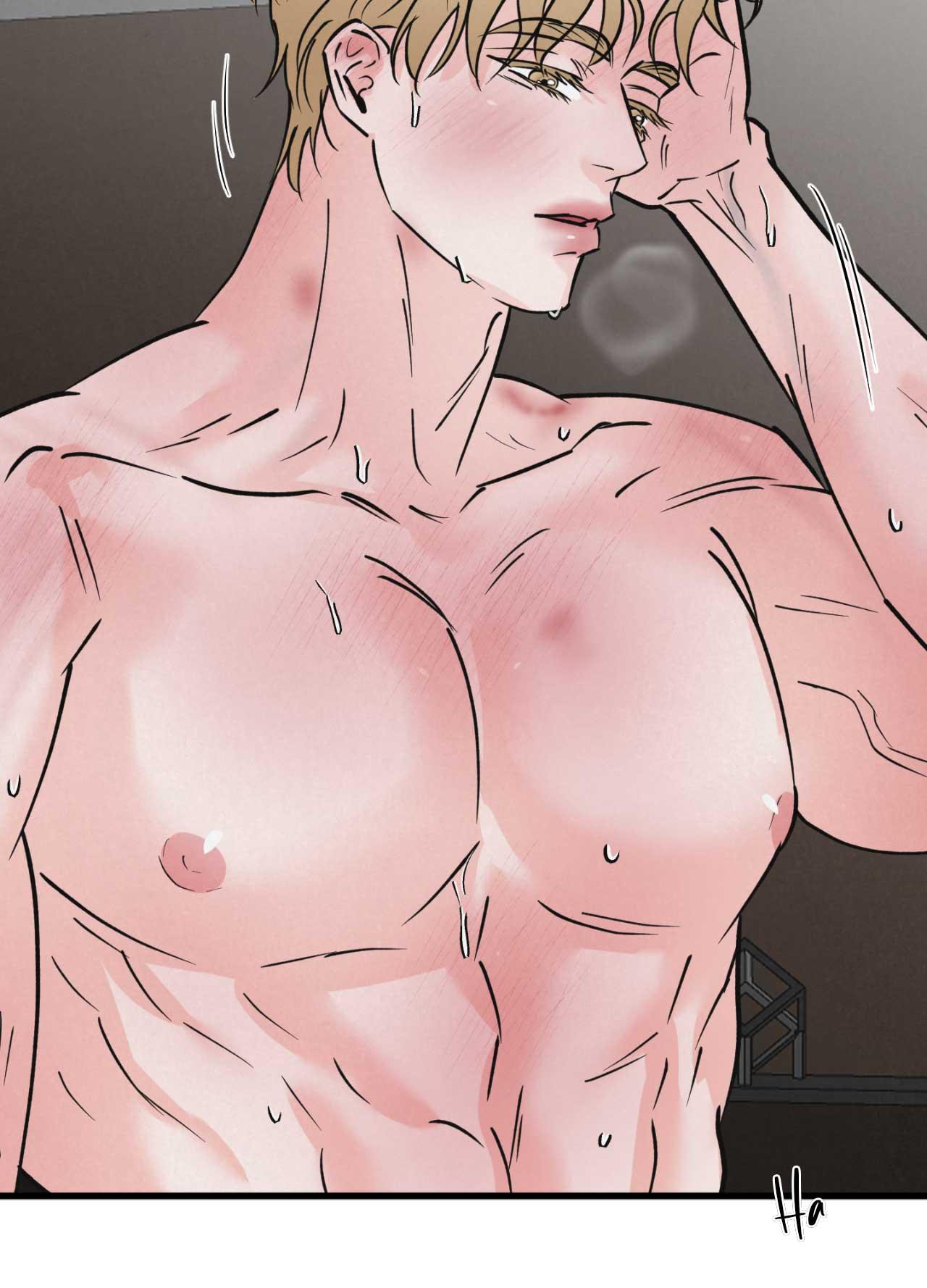 CẶP ĐÔI HOÀN HẢO Chapter 48 - Next Chapter 49