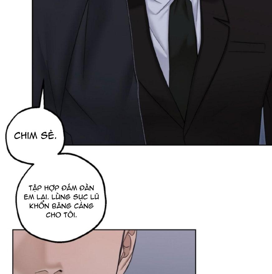 BẮT KỊP Chapter 39 - Next Chapter 40