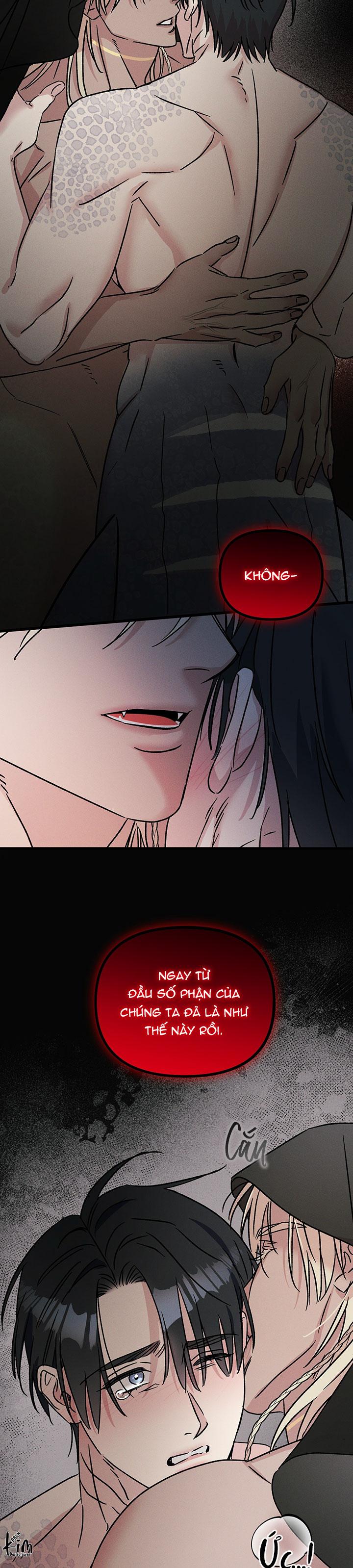 Mermaid's Cradle Chapter 4 - Next 