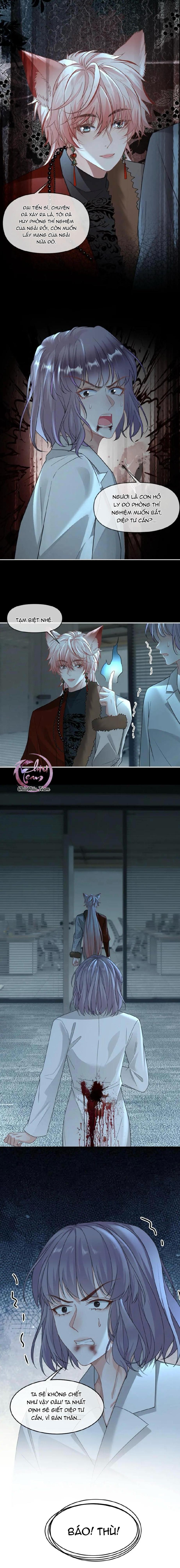 Khát Vọng Ngọt Ngào Chapter 436 - Next Chapter 437