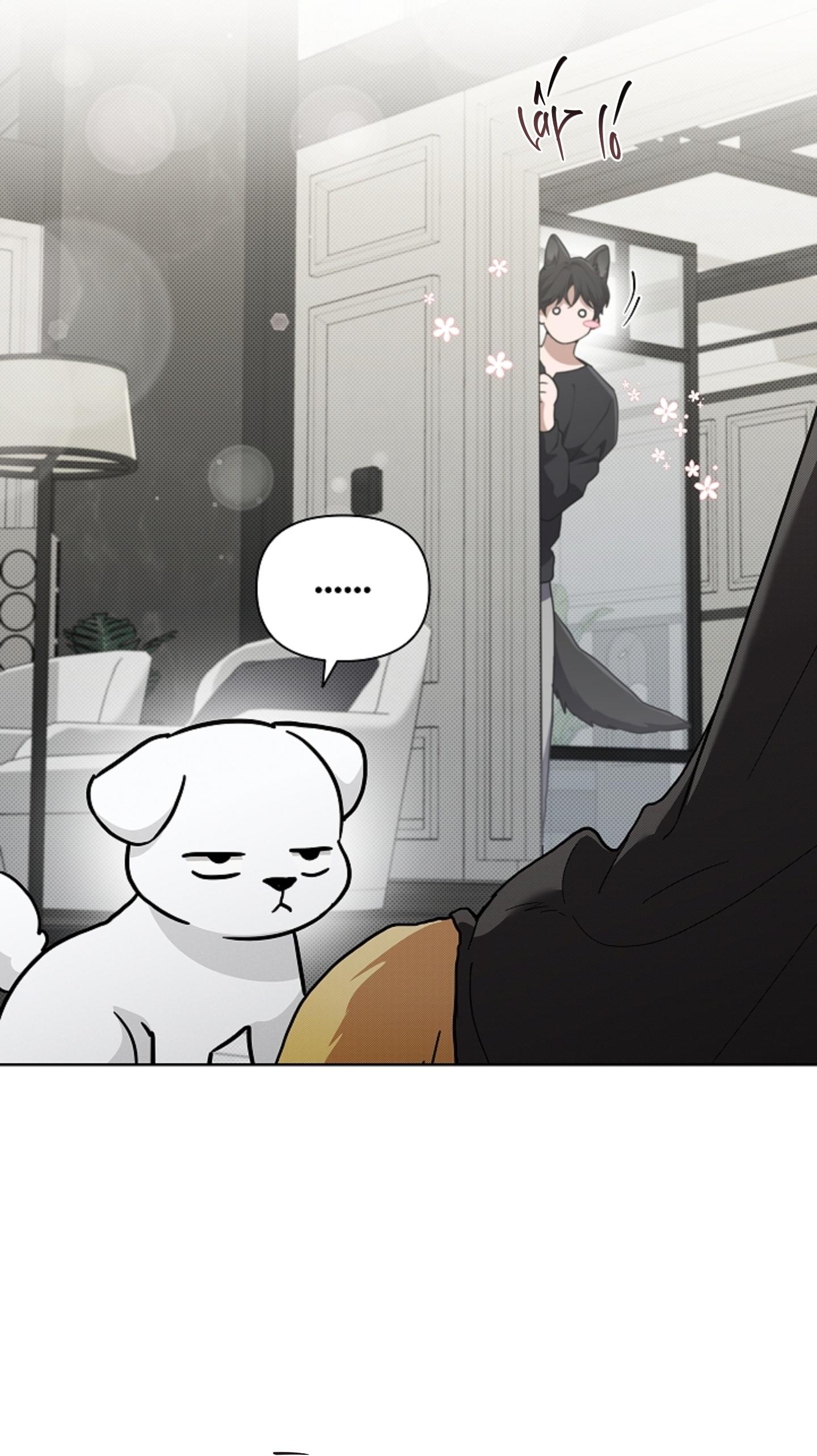 ĐỪNG CHẠM VÀO CÚN CON CỦA TÔI Chapter 47 NT 3 - Next 