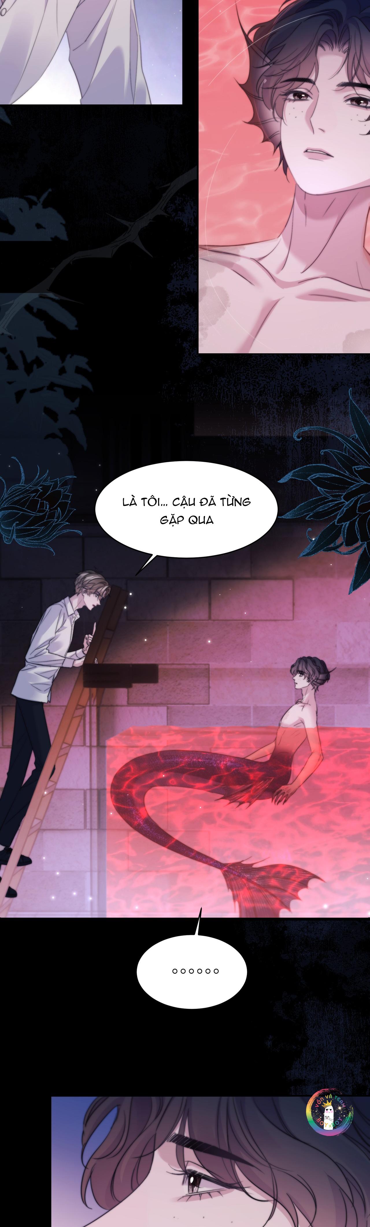 Nhân Ngư Desharow Chapter 110 - Next Chapter 111