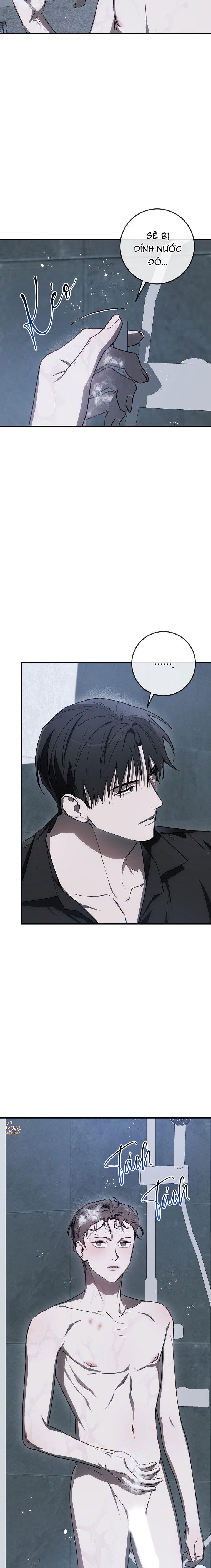 BẢO VẬT Chapter 31 - Next Chapter 32