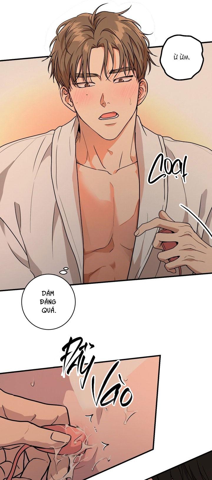 BÁNH QUY TÌNH YÊU TAN CHẢY Chapter 41 - Next 