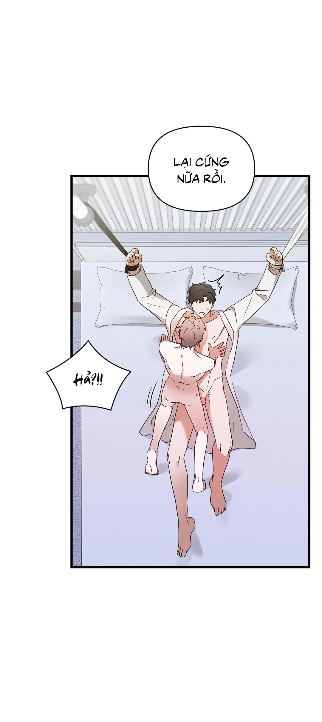 KÝ SỰ ALPHA Chapter 28 - Next 