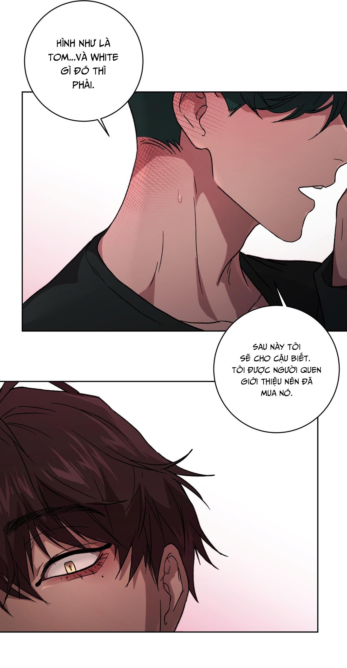 TUYỂN TẬP ÁM ẢNH, MƯU MÔ CÔNG Chapter 9.2 - Next 