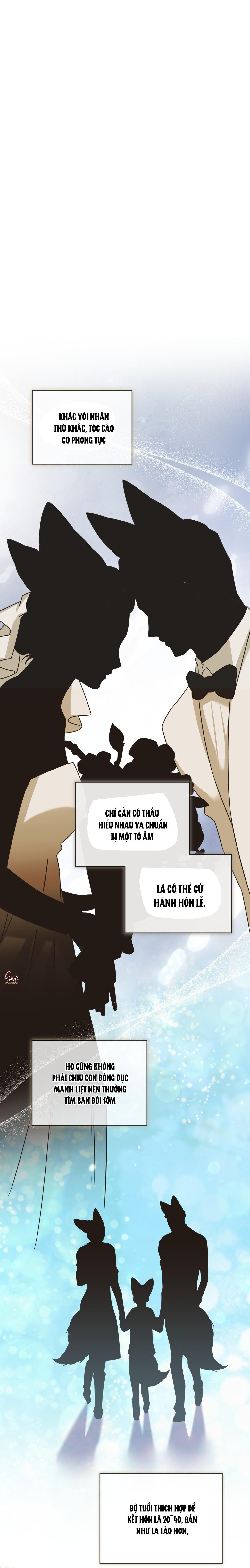 NƯỚC UỐNG TÌNH YÊU CỦA CÁO PLIN Chapter 47 - Next Chapter 48