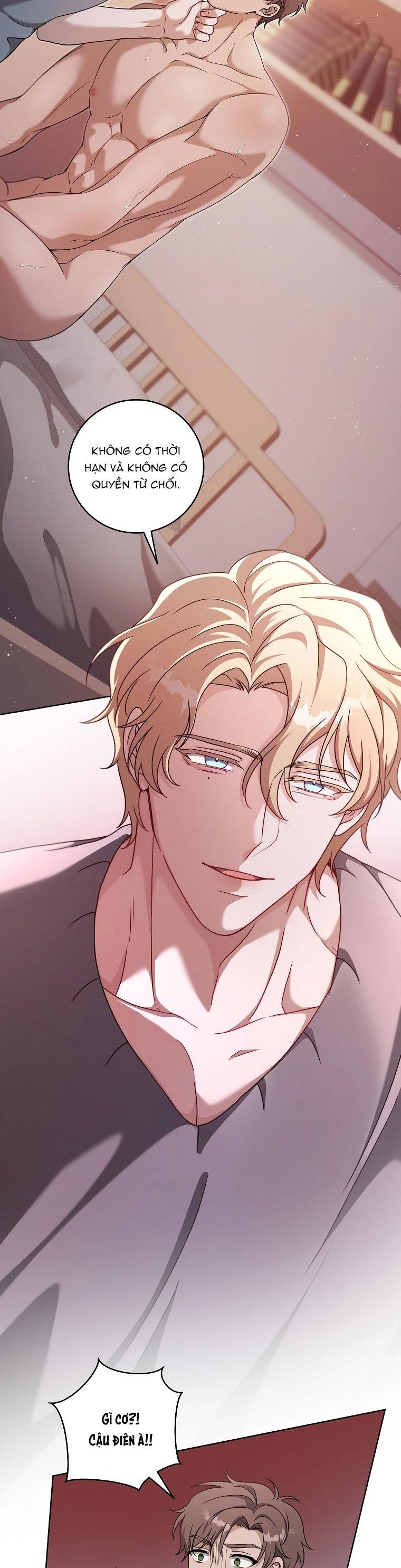THẾ CHẤP LỖ ĐÍT Chapter 3 - Trang 2