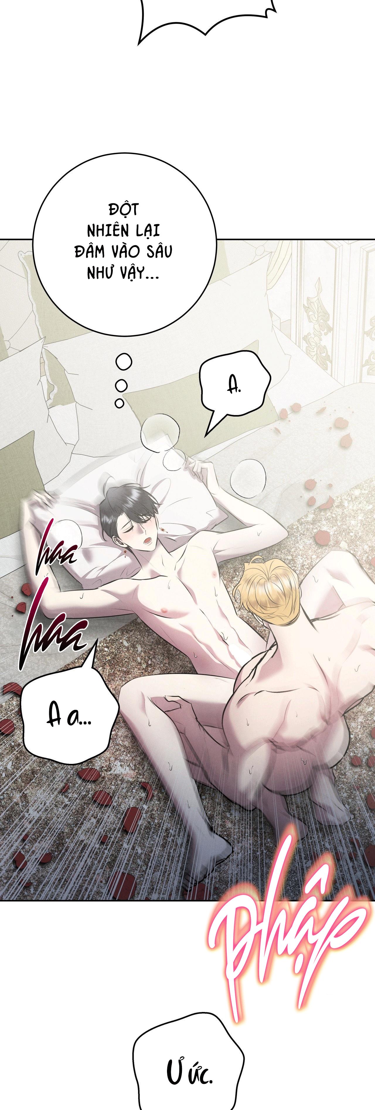 ĐÁM CƯỚI TAI TIẾNG Chapter 40 - Next 