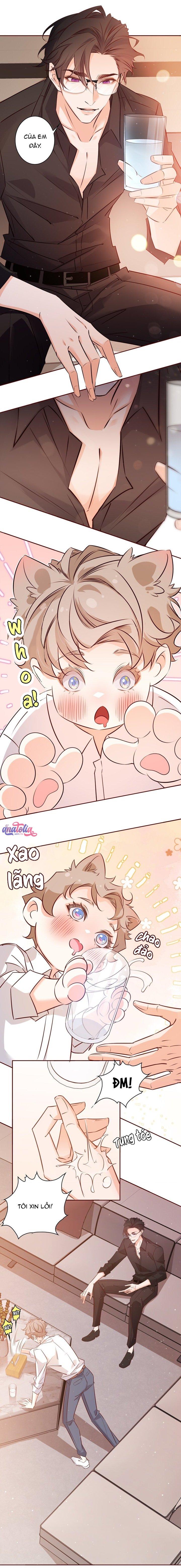 Yêu Em Bất Chấp Chapter 15 - Next Chapter 16