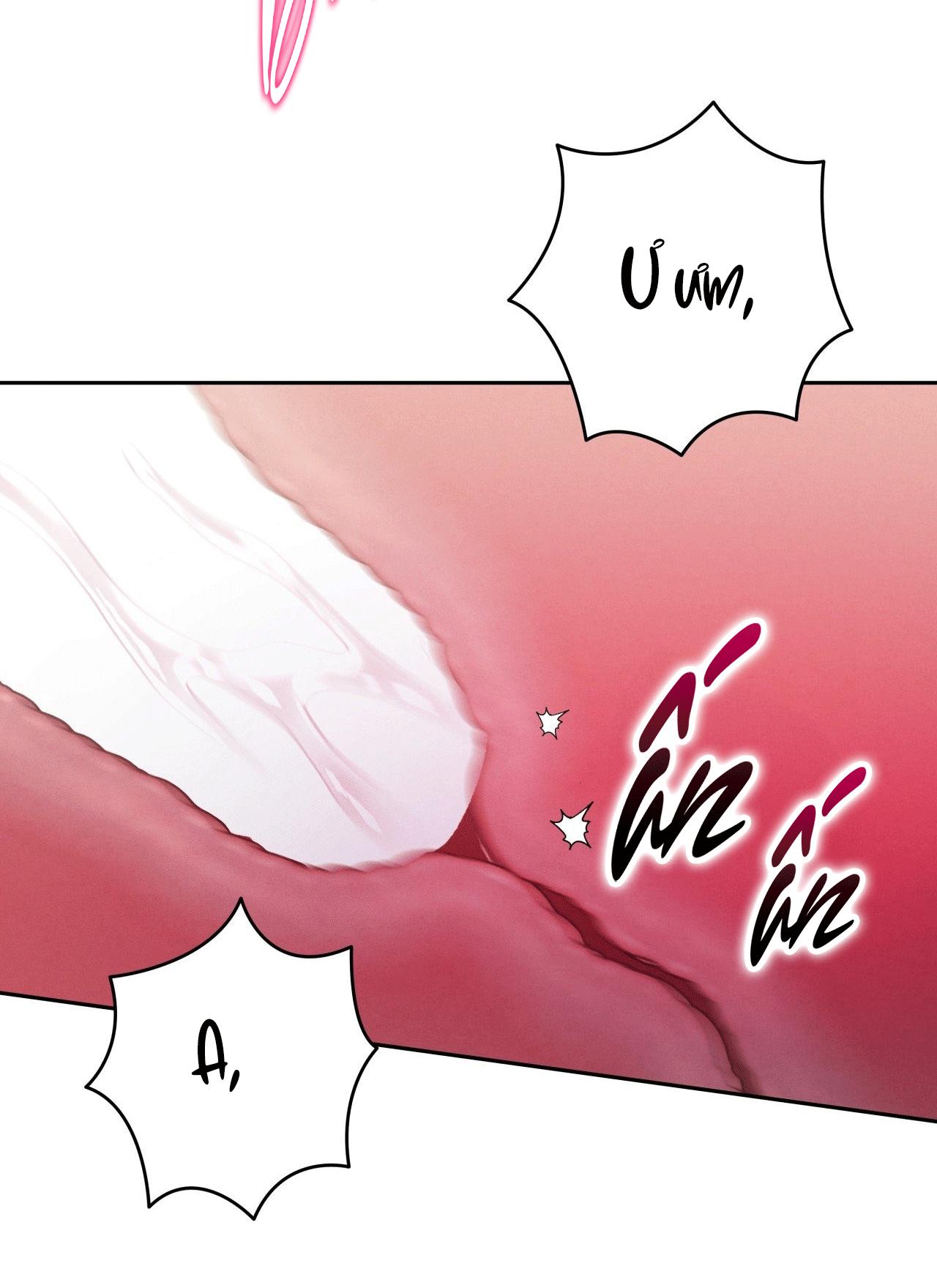 ĐÁM CƯỚI TAI TIẾNG Chapter 40 - Next 