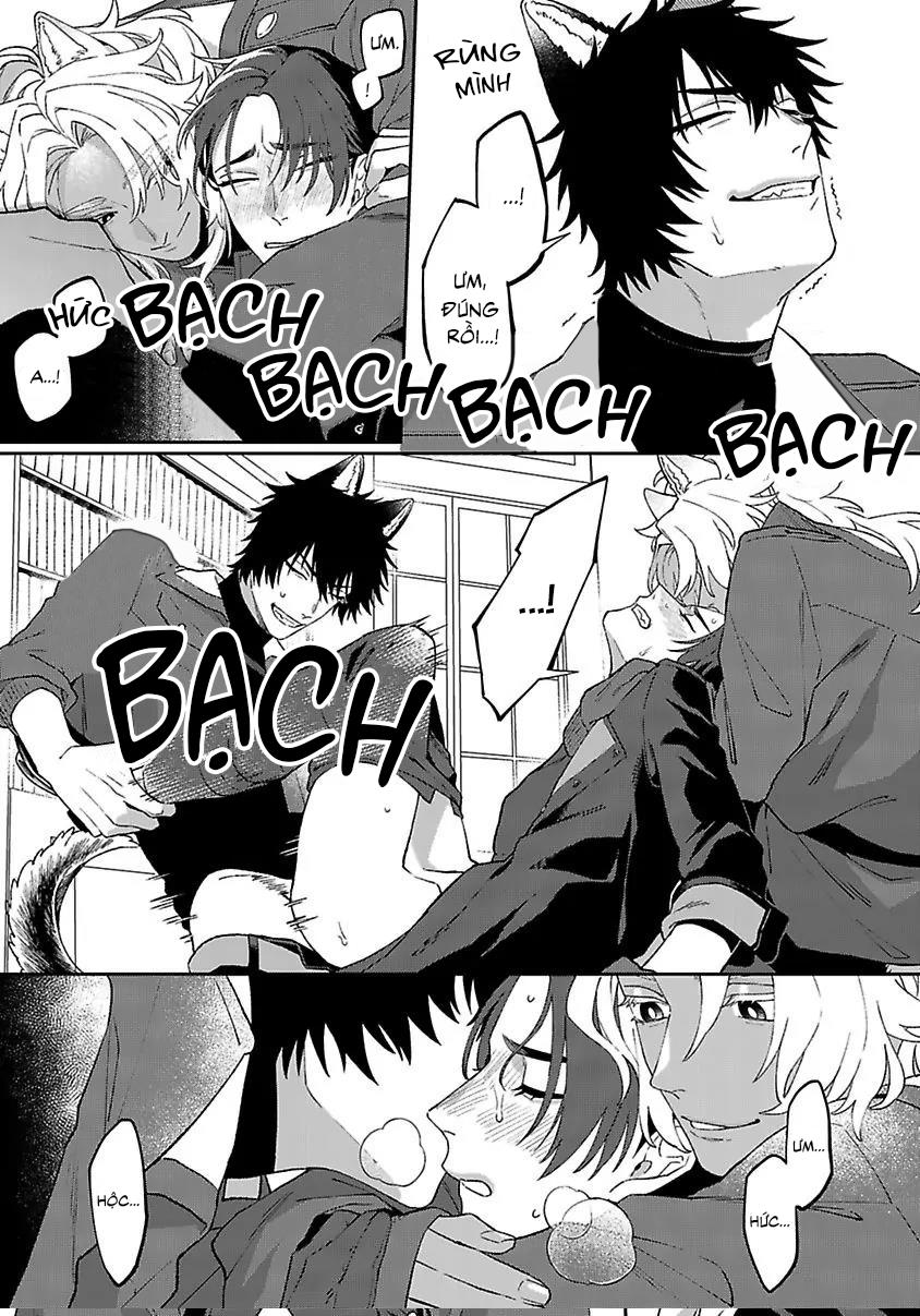 Hai Chú Chó Rắc Rối Chapter 4 - Next 