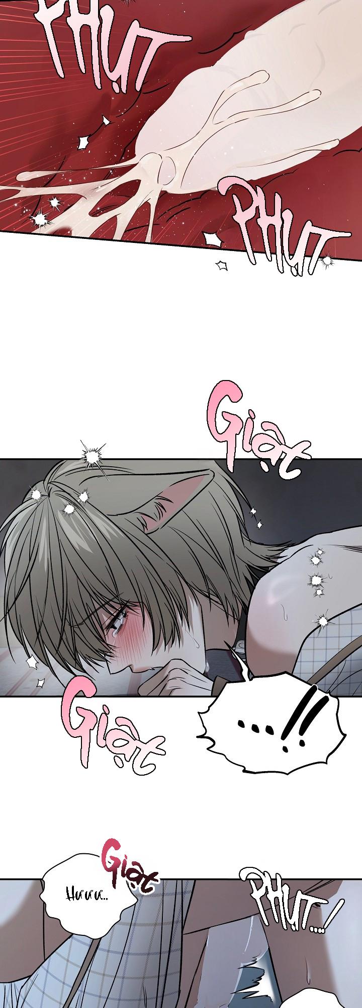 BỐ VÀ TÔI Chapter 5 END - Trang 2