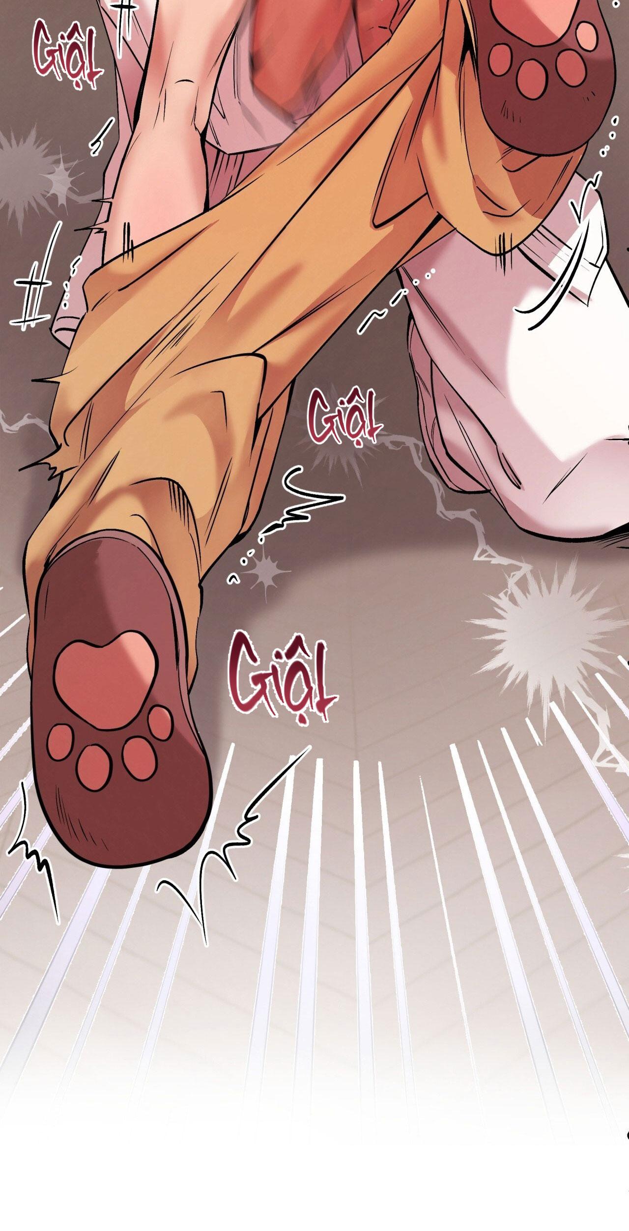 HONEY BEAR Chapter 65 - Next 