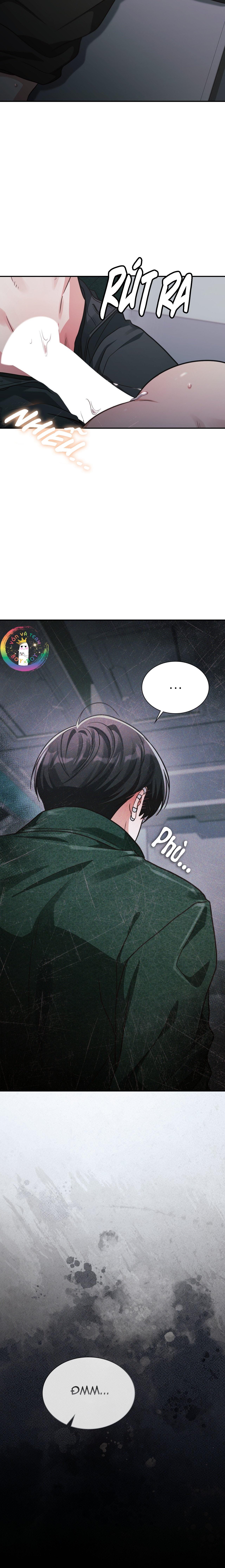 Dù Không Phải Guide Định Mệnh Của Cậu Chapter 12 - Next Chapter 13