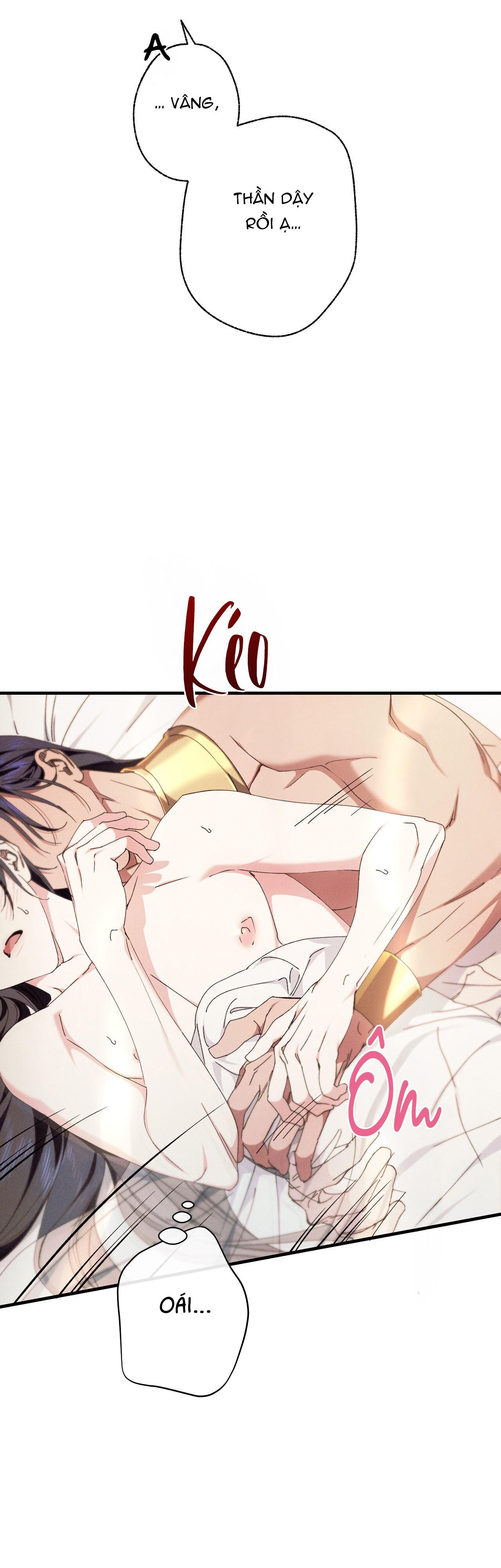 RẮN NUỐT LỰU Chapter 6 - Next 