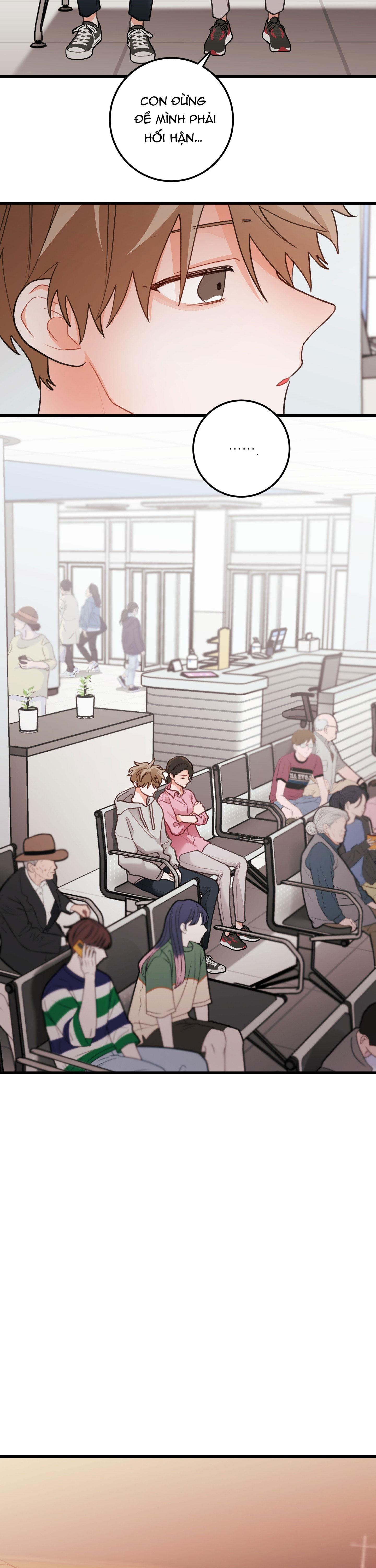 CHUYỆN TÌNH HOA LÊ NỞ Chapter 83 - Next Chapter 84