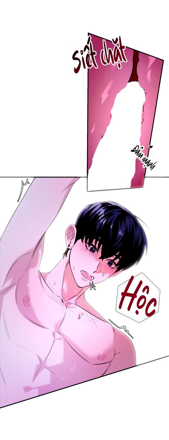 Đến gặp Idol nào! Chapter 12 - Next 