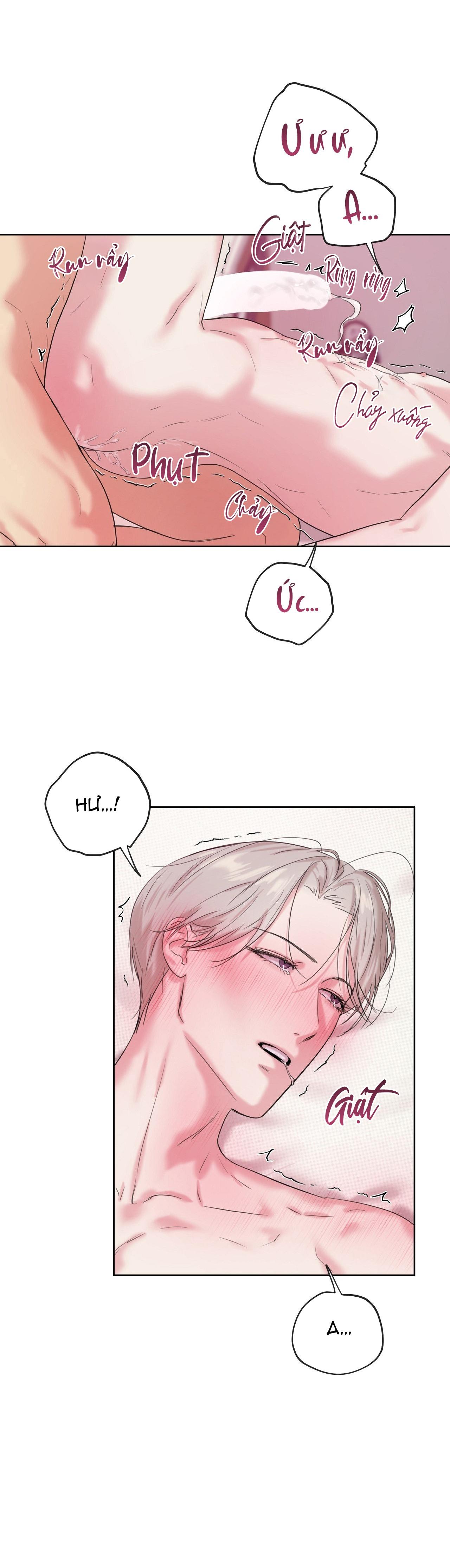 TU HÚ KHÔNG RỜI KHỎI TỔ Chapter 13 - Next 