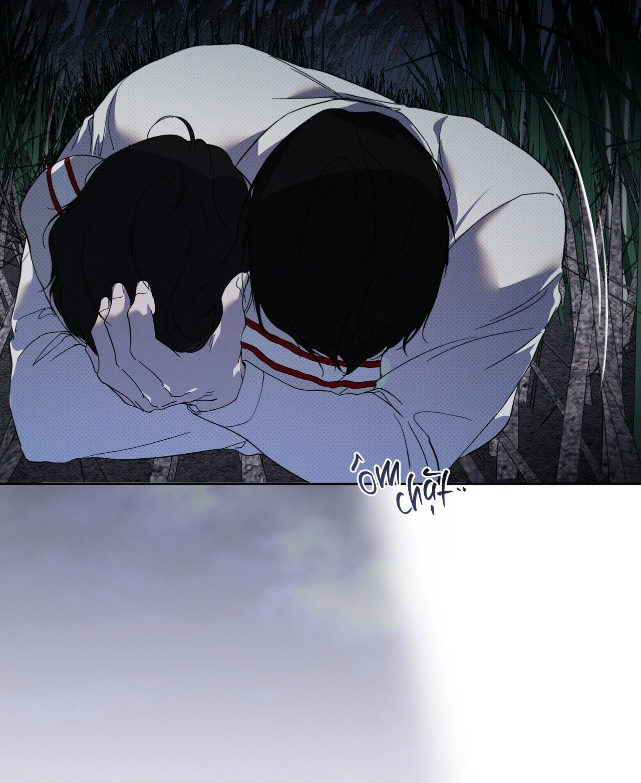 HÌNH THÁI TIẾN HÓA Chapter 13 - Next 