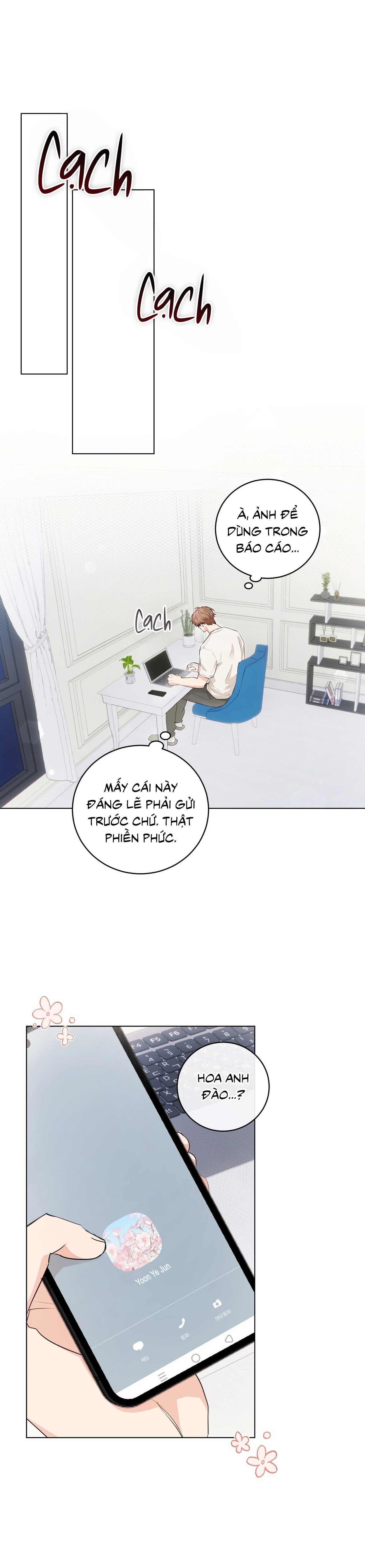 TÌNH YÊU KẸO BẠC HÀ Chapter 16 H+ - Next 