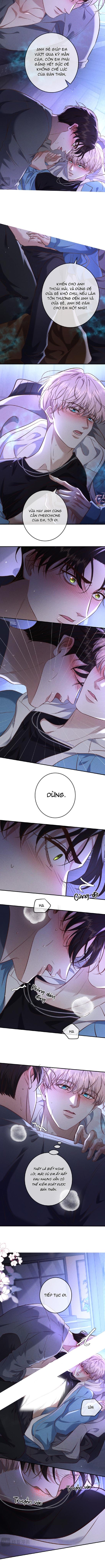 Cạn Tình Chapter 75 - Next Chapter 76