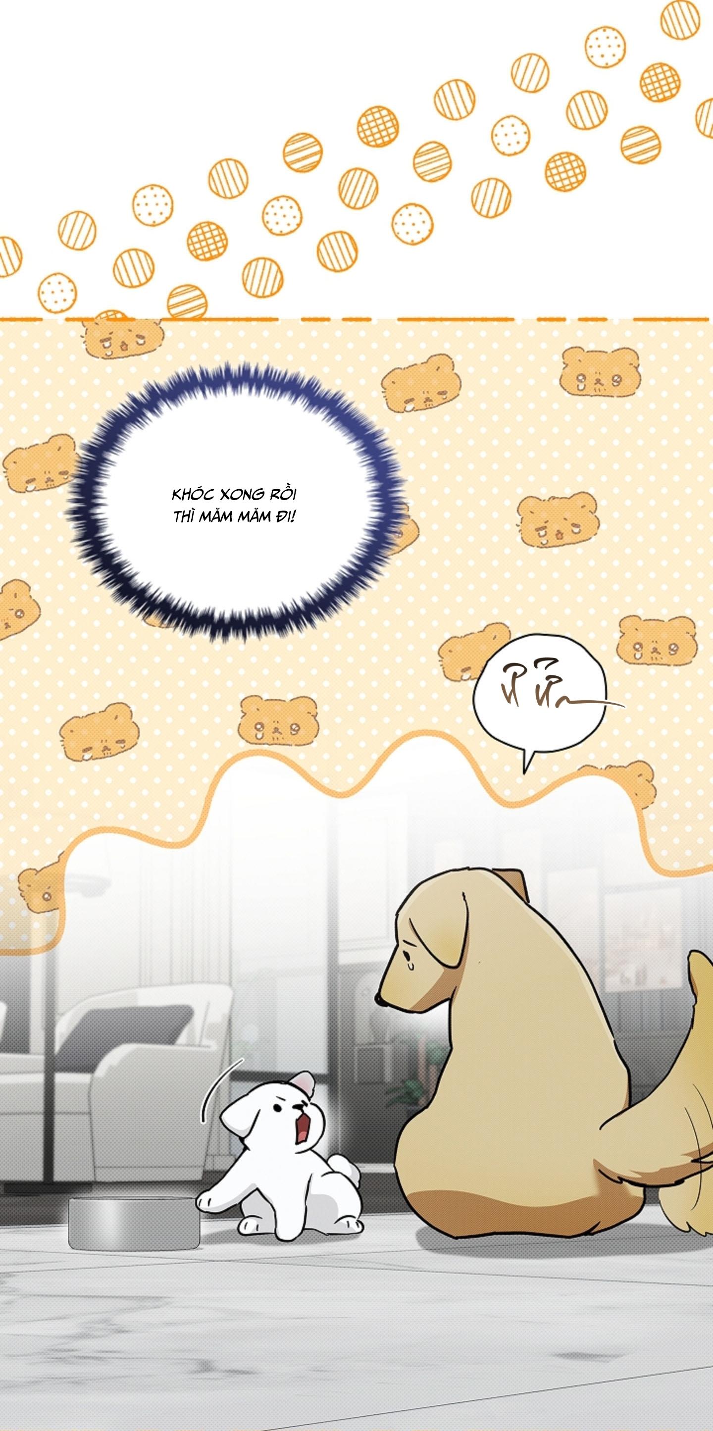 ĐỪNG CHẠM VÀO CÚN CON CỦA TÔI Chapter 47 NT 3 - Next 