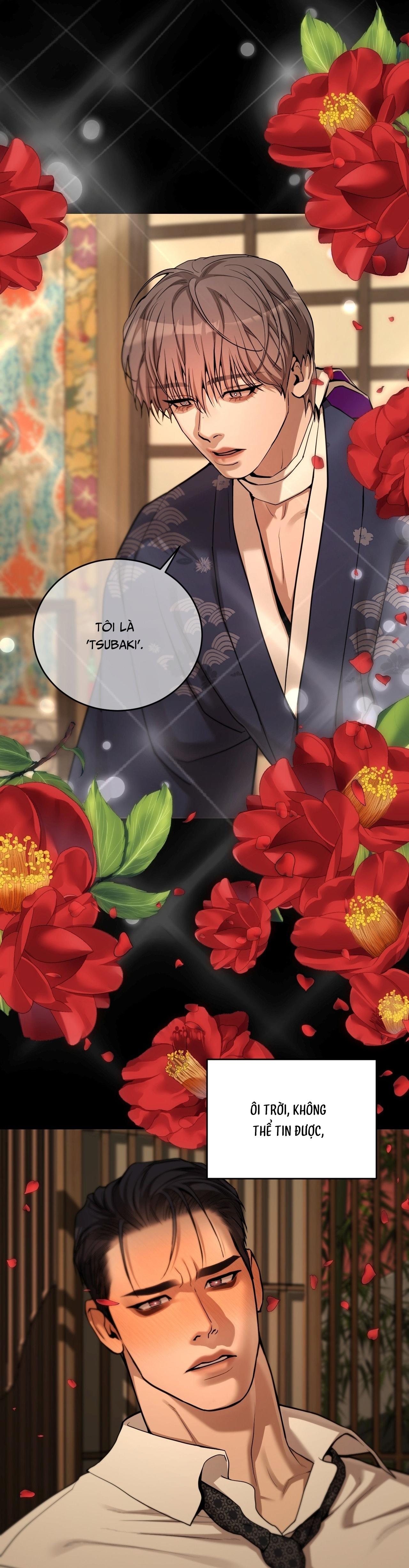 PEARL BOY: IGNITE THE DAWN Chapter 9 - Next 