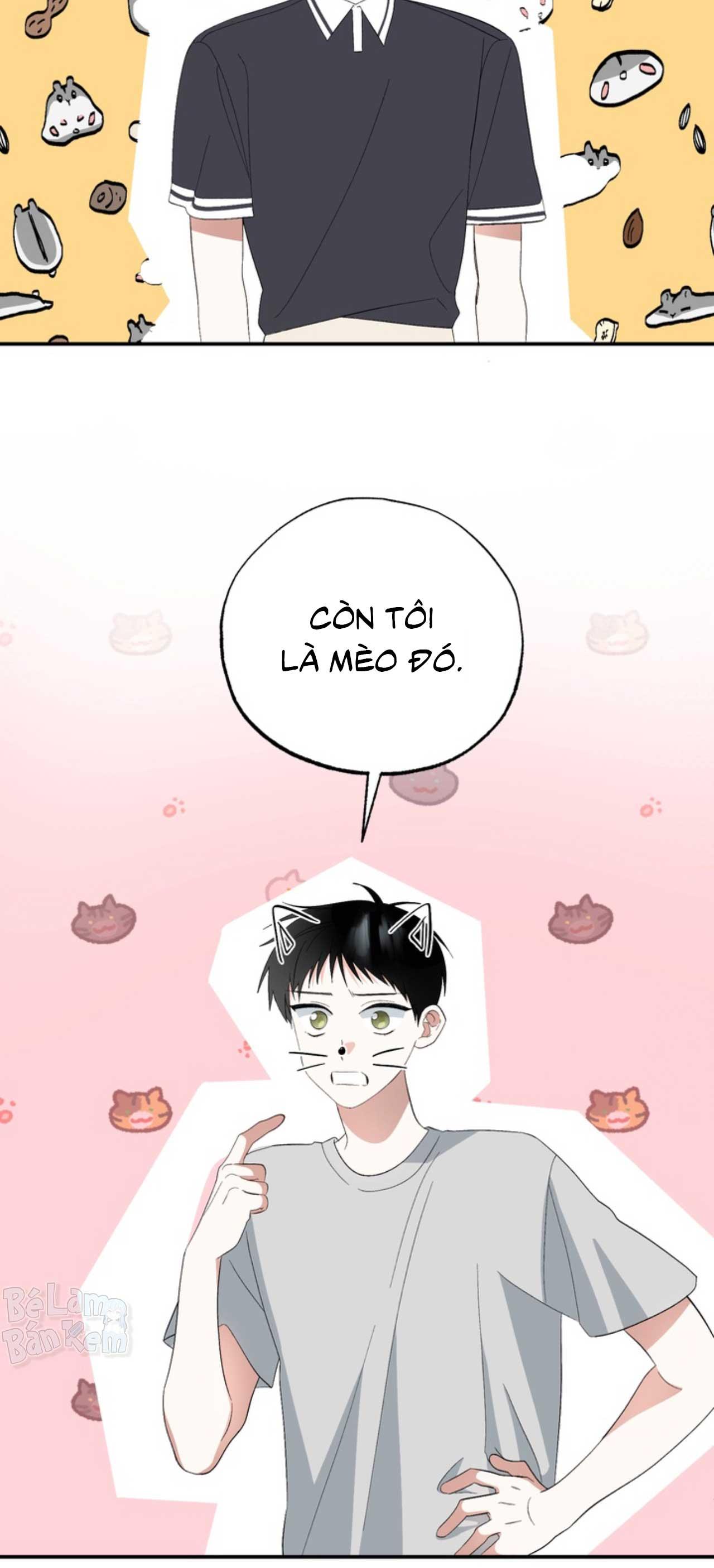 XIN HÃY YÊU THƯƠNG DÙ TÔI LÀ CHUỘT Chapter 4 - Trang 2