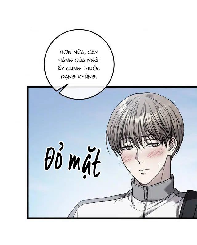 Caddie của riêng tôi Chapter 1 - Next 