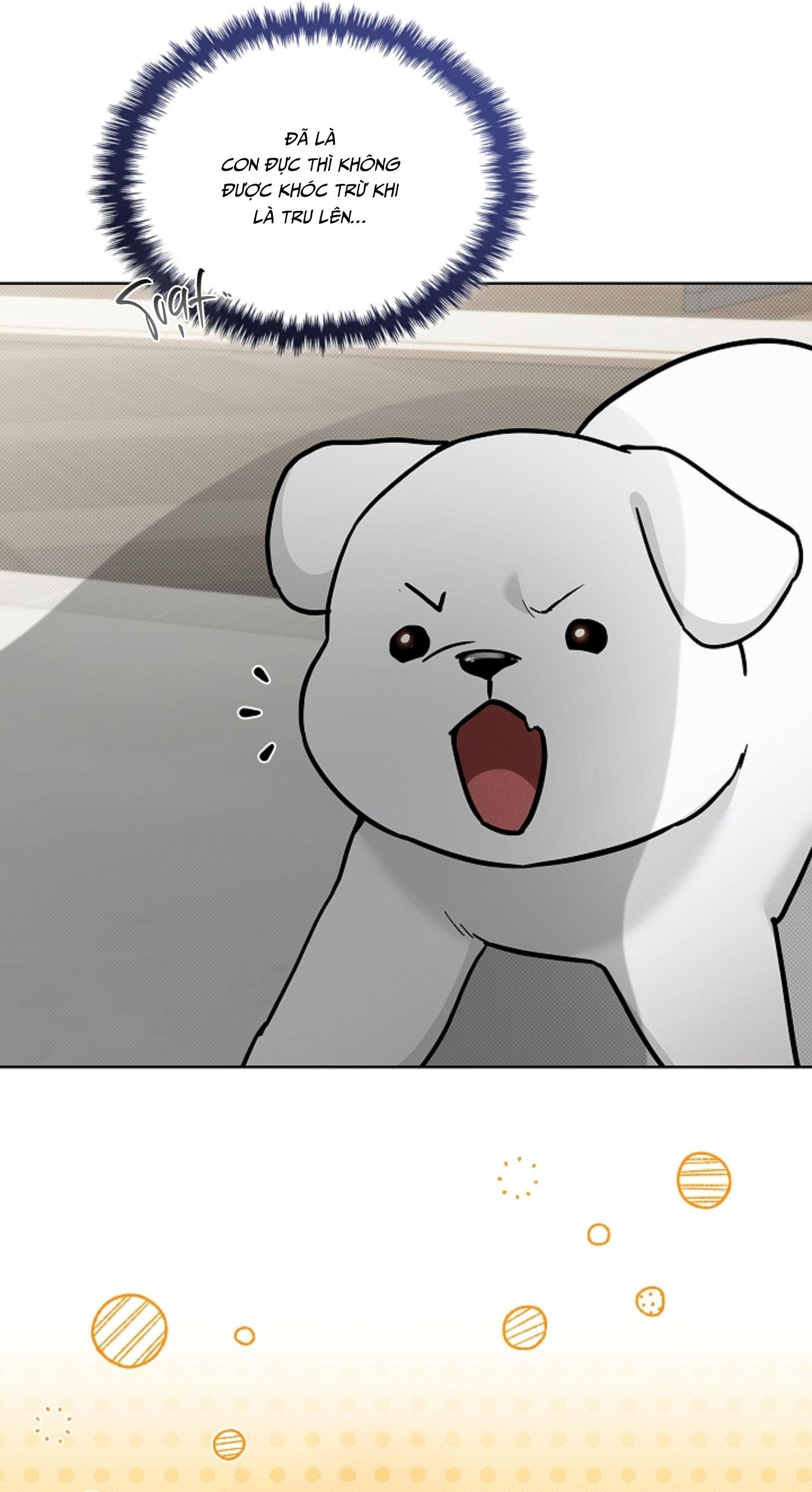 ĐỪNG CHẠM VÀO CÚN CON CỦA TÔI Chapter 47 NT 3 - Next 