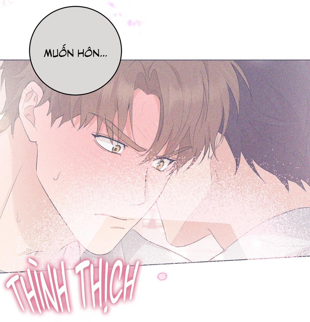 TÌNH YÊU KẸO BẠC HÀ Chapter 9 - Next 
