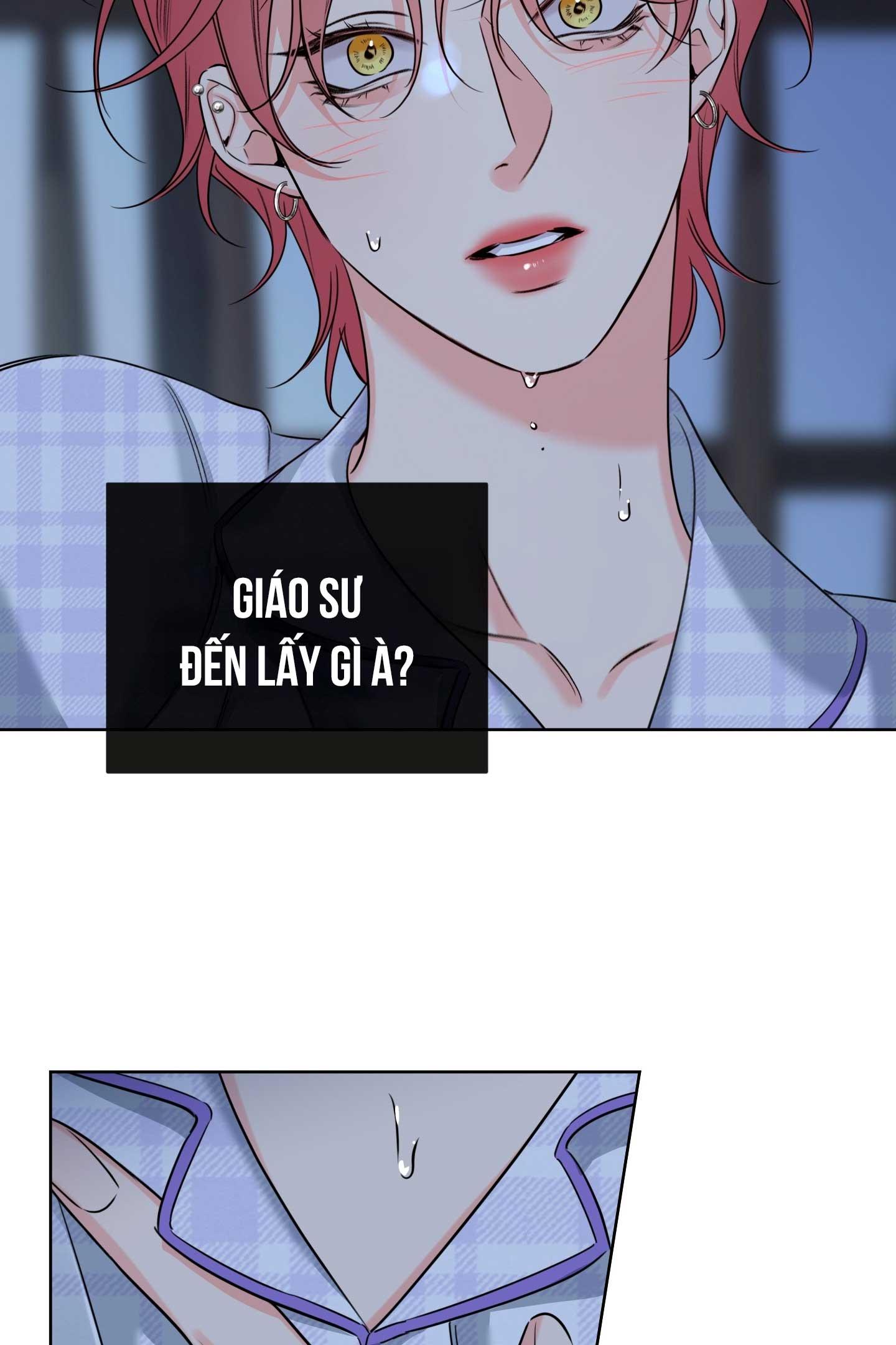 HONEY TROUBLE Chapter 48 - Next 
