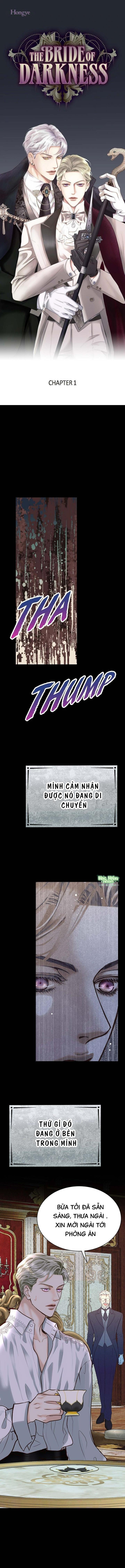 Hôn Thê Của Bóng Tối Chapter 1 Hachiennhom - Next 