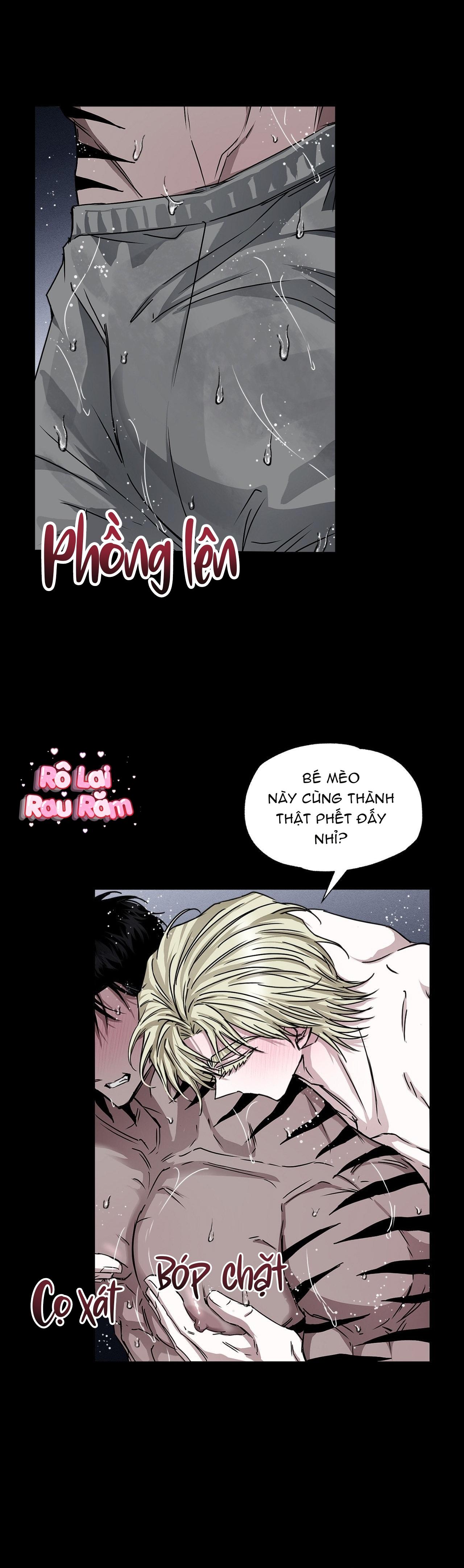 Vân Long Phong Hổ Chapter 15 H++ - Next 